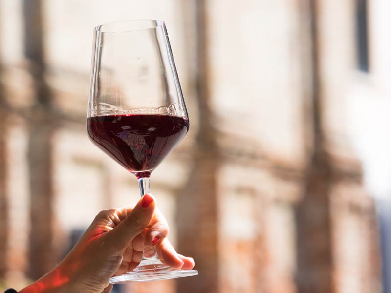 wine-experience